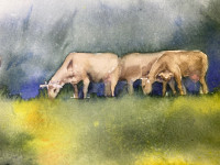 /album/fotogalerie/chu%cc%88e-jpg/